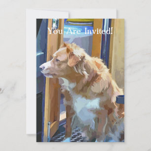 CONVITE BARCOS CANAIS