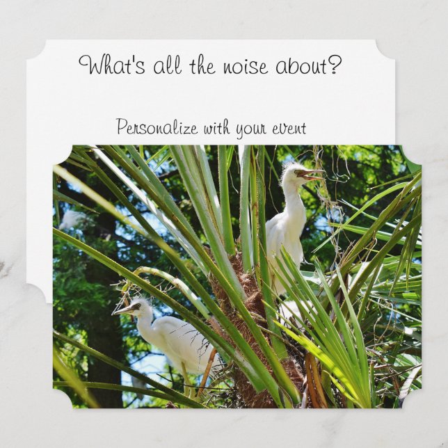 Convite Bebês Pássaros (Frente/Verso)