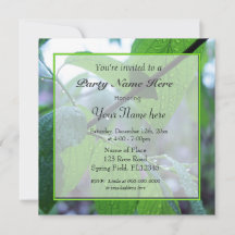 belas folhas verdes frescas da primavera todas as