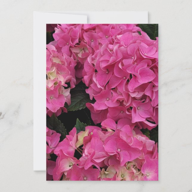 Convite Beleza da hidrangea rosa (Frente)