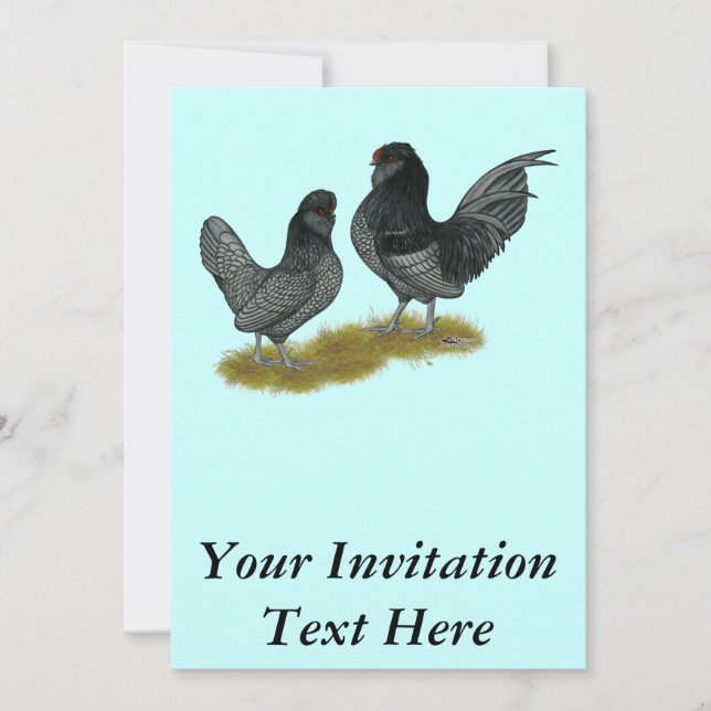 Convite Belga Watermaal Bantams (Frente)