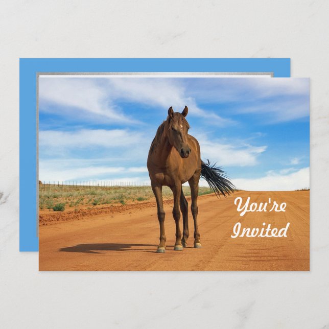 Convite Belo aniversário da Foto da Estrada Marrom Horse (Frente/Verso)