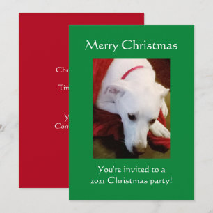 Convite Belo Cachorro Branca de Neve, Feliz Natal Verde