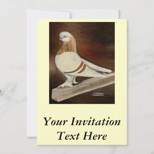 Convite Berliner ShortFace Pigeon (Frente)