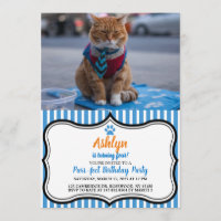 Convite Bestial para Gatos de Negócios