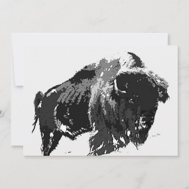 Convite Bison / Buffalo - Convite Buffalos (Frente)