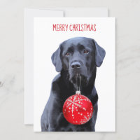 Black Lab Feliz Natal - Cachorro Labrador Bonito