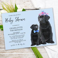 Black Labrador Retriever Puppy Dog Blue Boy