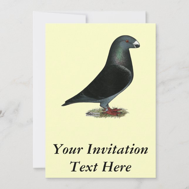 Convite Blue Velvet Show Racer (Frente)