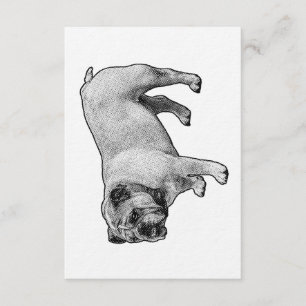 Convite Boas-vindas Pontinho Robusto