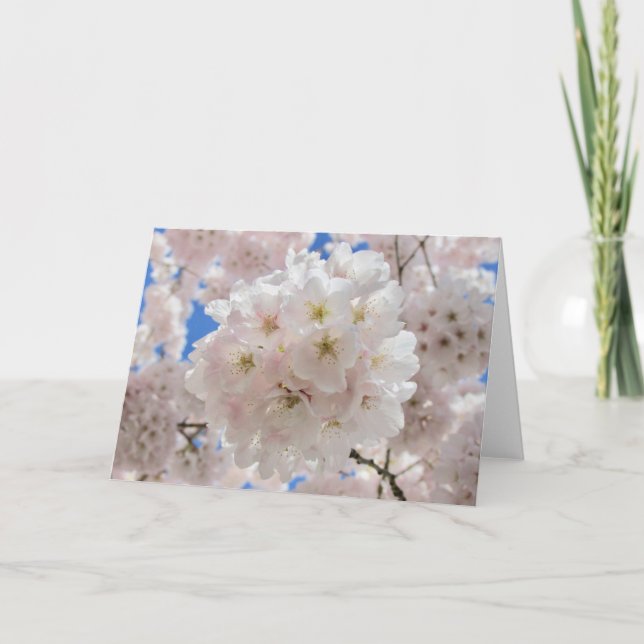 Convite Bolas de Flor de Rosa. (Frente)