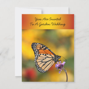 Convite Borboleta Monarca à Procura de Pólen