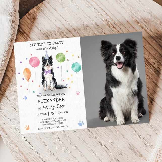 Convite Borda Collie Pawty Dog Puppy Birthday Blue Foto (Criador carregado)