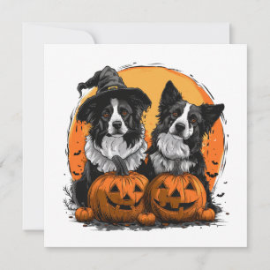 Convite Border Collie Dogs Halloween Jack O Lanternas