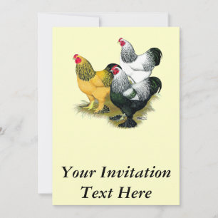 Convite Brahmas Three Roosters