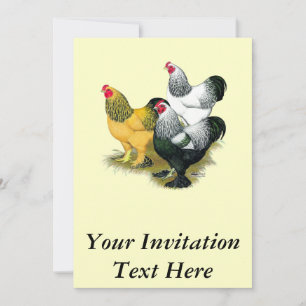 Convite Brahmas Three Roosters