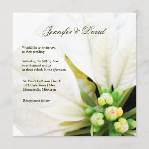 Convite branco do casamento da poinsétia