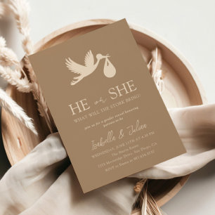 Convite Brown Stork Baby Delivery Ele ou Ela Revela Gênero
