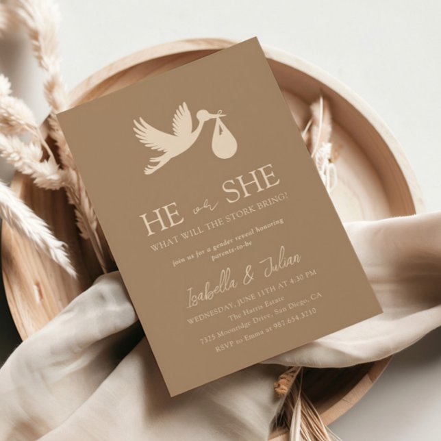 Convite Brown Stork Baby Delivery Ele ou Ela Revela Gênero (Criador carregado)