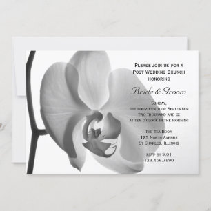 Convite Brunch de Pós-Casamento Orquídea Branca