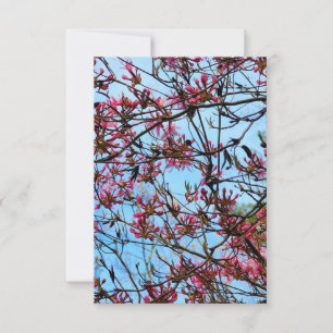 Convite Buchas rosa de flores em uma árvore