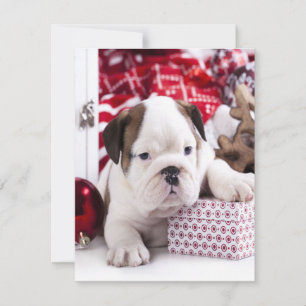 Convite Buldogue Inglês Cachorrinho Fofo Natal Divertido