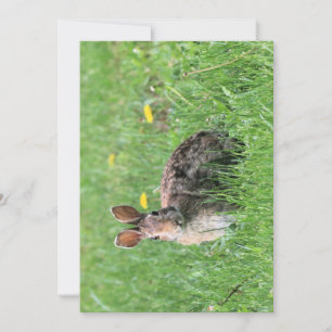 Convite Bunny