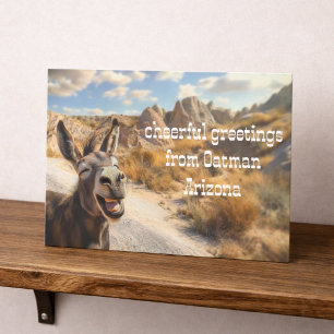 Convite Burro sorridente, Oatman Arizona