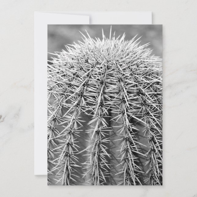 Convite Buzz Cut Cactus (Deserto AZ Sonoran) (Frente)