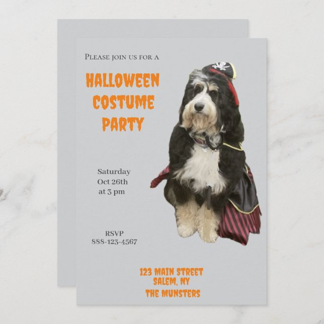 Convite Cachorro Bernedoodle em Pirate Halloween Festa de  (Frente/Verso)