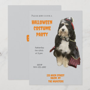 Convite Cachorro Bernedoodle em Pirate Halloween Festa de 