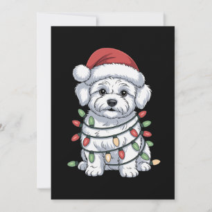 Convite Cachorro Bichon Frise de Natal Chapéu do Papai Noe