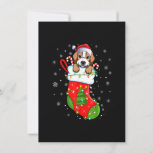 Convite Cachorro De Beagle Em Meias De Natal Papais noeis