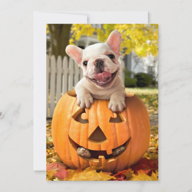 Convite Cachorro em Jack-o-Lanterna (Frente)