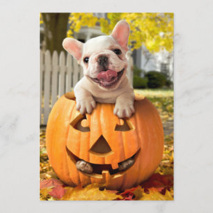 Convite Cachorro em Jack-o-Lanterna