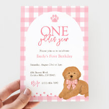 Cachorro Pink Goldendoodle Um Ano de Ouro aniversá