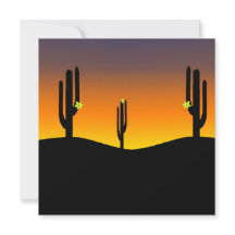 Cactus Flower Sunset