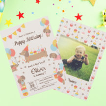 Cães de Papoila Bonitos Dachshund Birthday Pawty