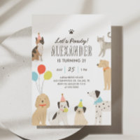 Cães e gatos Gatinhos de papoila Vamos Pawty Anive
