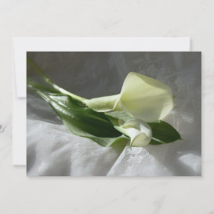Convite Calla Lily no Casamento Branco