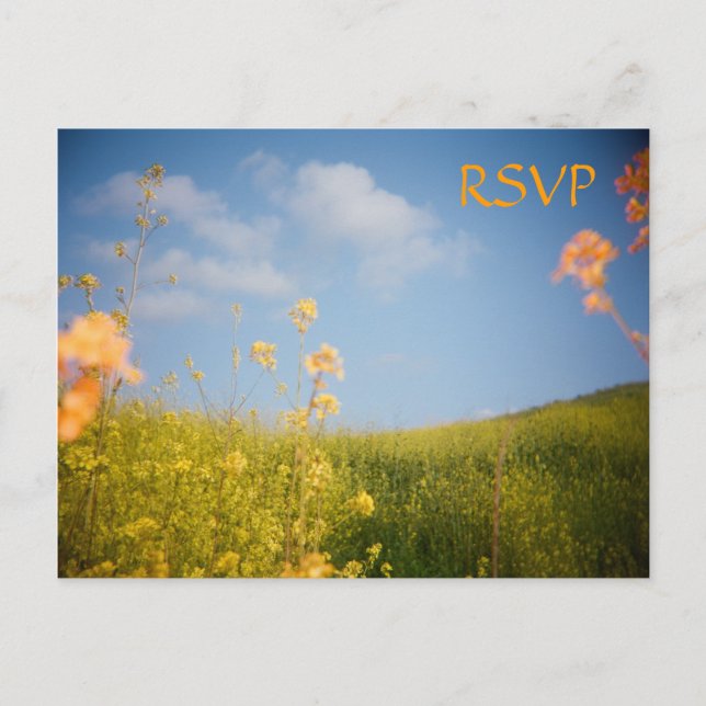 Convite Campo de Flor de Cartão Postal RSVP (Frente)