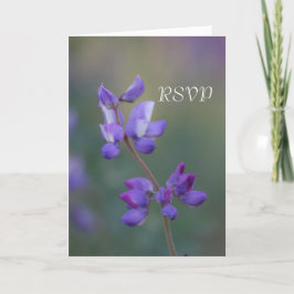 Convite Campo de Lupino RSVP