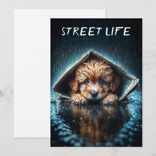 Convite Canino úmido e coração em tempo tempestuoso