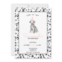 Cão Dalmata Rosa Senta Fica