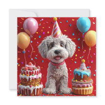 Cão de aniversário com bolo e balões