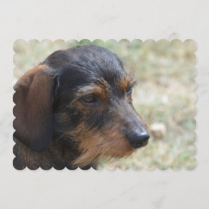 Convite Cão de Daschund de Cabelo