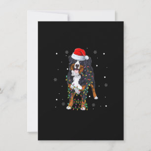 Convite Cão de Montanha Bernês de Natal Árvore de Luz Aleg