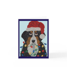 Cão de Montanha Bernês Enroscado em Luzes de Natal