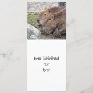 Convite Capibarás