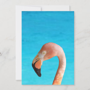 Convite Cara flamingo rosa contra água azul em